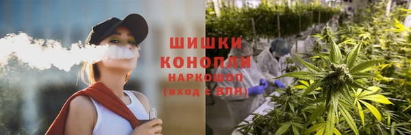 гидра Новокубанск