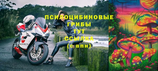 стаф Новодвинск