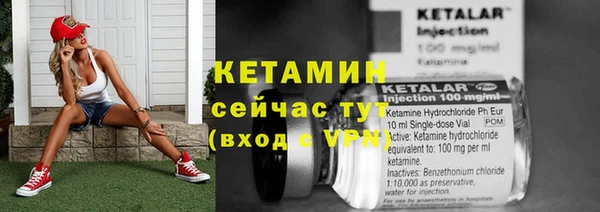 стаф Новодвинск