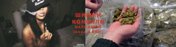 стаф Новодвинск