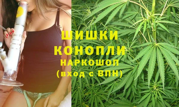 стаф Новодвинск