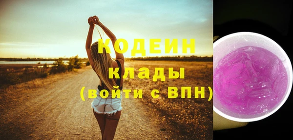 стаф Новодвинск