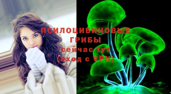 гидра Новокубанск