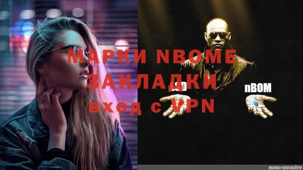 стаф Новодвинск