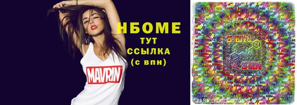 стаф Новодвинск