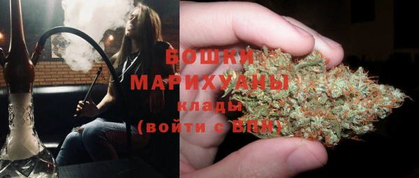 стаф Новодвинск