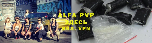 стаф Новодвинск