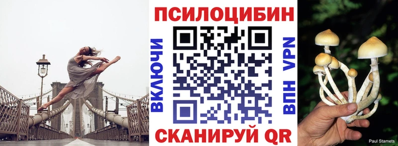 где можно купить наркотик  Королёв  Галлюциногенные грибы GOLDEN TEACHER 